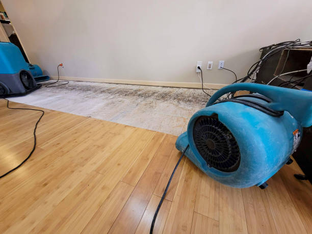 Professional Structural Drying technician working in Blackwell, OK